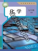 人教版九年级化学下册