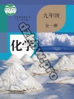 人教版九年级化学全一册