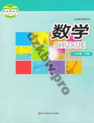 华师大版七年级数学下册