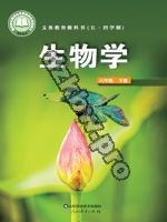 鲁科版六年级生物下册